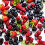Fruit Gardening Guide by Timber Press-0