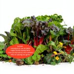 Southwest Gardening Guide by Cool Springs Press-0
