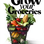 DK Gardening Guide for Fruit and Vegetables-0