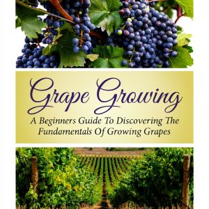 Fruit Gardening Guide Kindle eBook by Sunshine Publishing-0